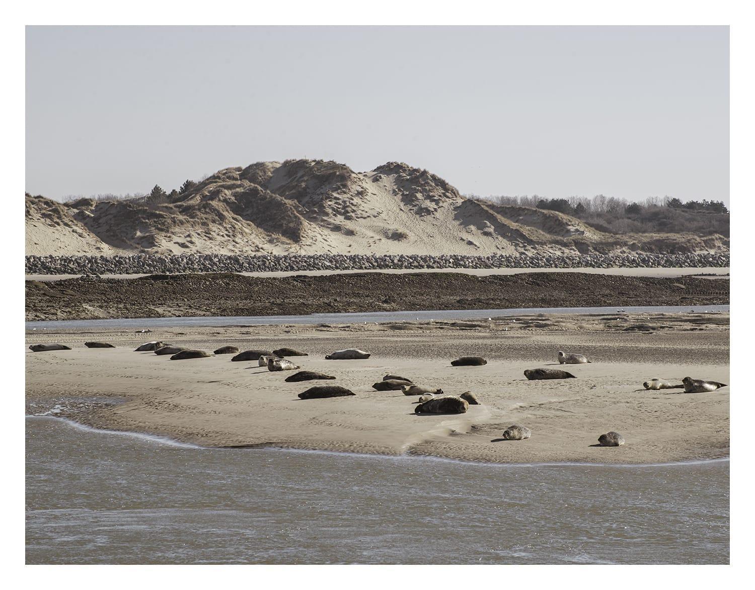 Cottage Proche Du Bord De Mer Et Au Coeur Des Dunes メルリモン・プラージュ エクステリア 写真
